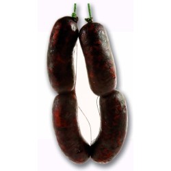 morcilla cebolla